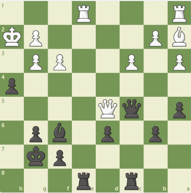 Dacha Tactics #16 - hardcore dark dacha.