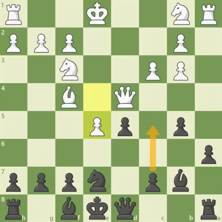 #66 Exquisite display of Golden Bishop and bishop pair by Fischer