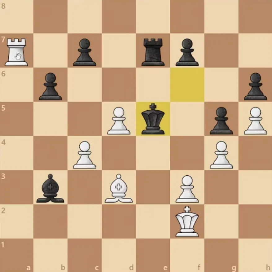 #74 Blitz battles featuring instructive knight vs bishop endgames and the pawn endgame transitions.